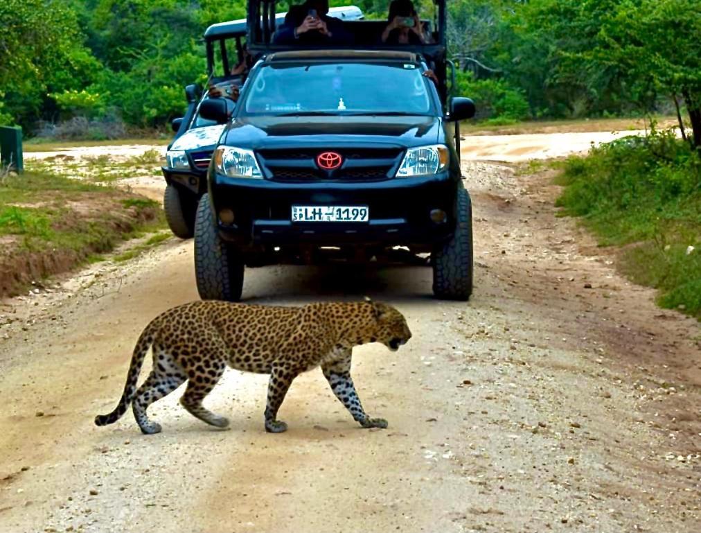 Yala Safari Village Maha Akurugoda Eksteriør bilde